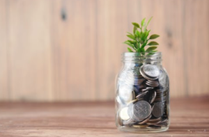 Plants - Clinics by Design