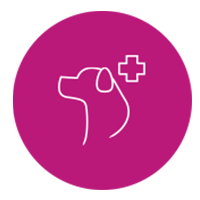 Veterinary Construction & Fitout