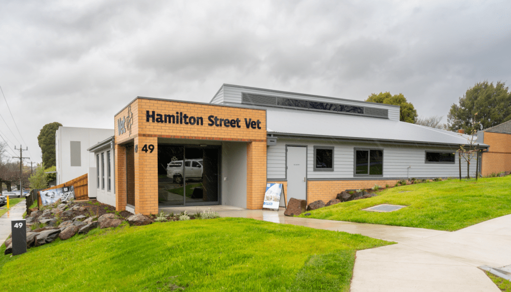 Hamilton Street Vet