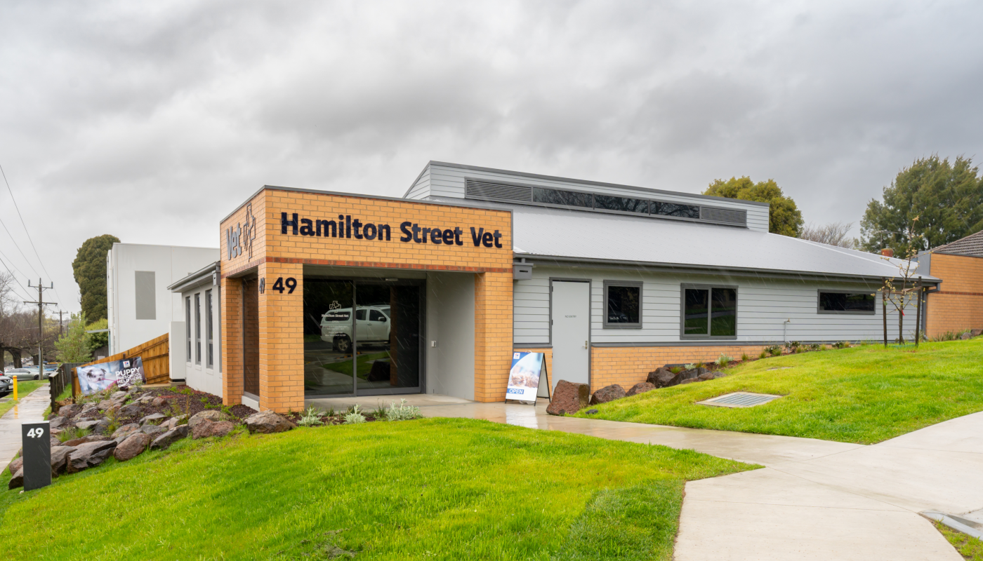 Hamilton Street Vet