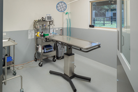 Veterinary clinic fit out