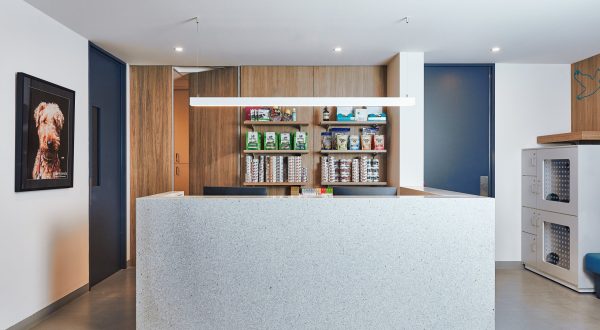 200313-Vets-on-Parker-Within-Design1174